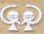 sbig19s.jpg (2780 bytes)