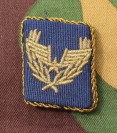 yu3157s.jpg (4044 bytes)