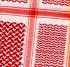 red-scarf-s.jpg (5232 bytes)