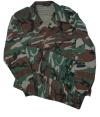 chcamo4s.jpg (5080 bytes)